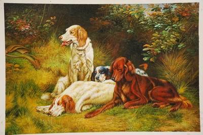 unknow artist Dogs 033 Germany oil painting art